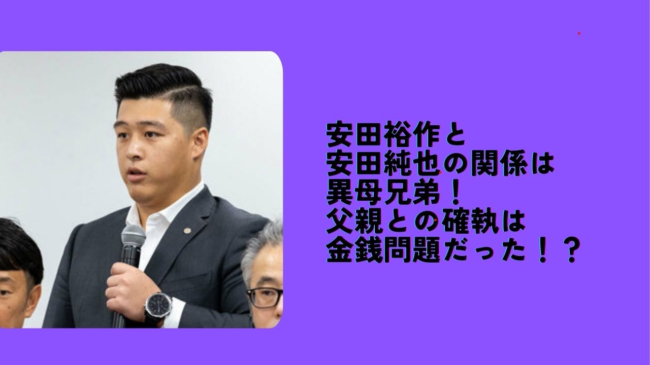 安田裕作　純也